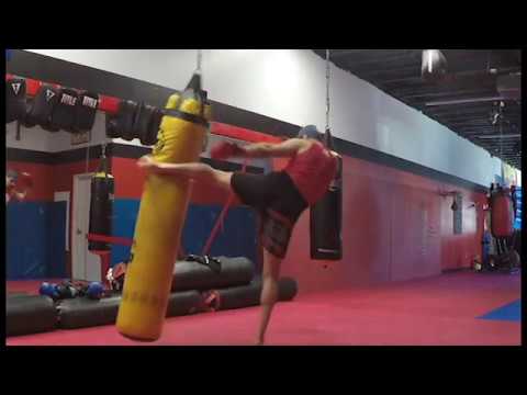 Build A Combo and a quick intro to #virus theory #mma #muaythai #padwork #health #naturalmedicine