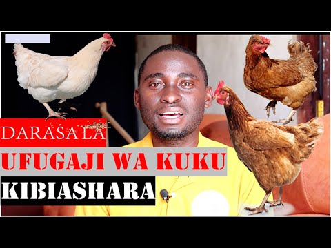 , title : 'MAFUNZO YA UFUGAJI WA KUKU WA NYAMA,MAYAI,KIENYEJI NA KUKU CHOTARA.'