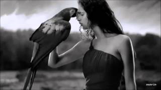 COME WANDER WITH ME ( JEFF ALEXANDER ) (  SUBTITULADA )