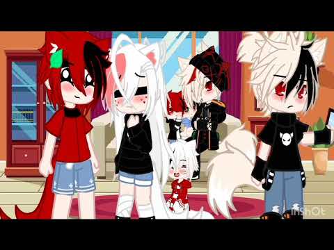 cat meme~(MHA) kiribaku and y/n💢💥❤