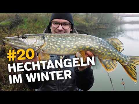 Köderführung zum Hechtangeln vom UFER 🔥🎣👍