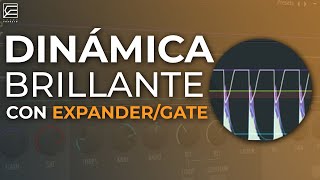Secretos Revelados: Cómo Usar el Expander Gate para un Audio Profesional