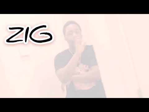 Zig ft Big Loudogg-Fake Love