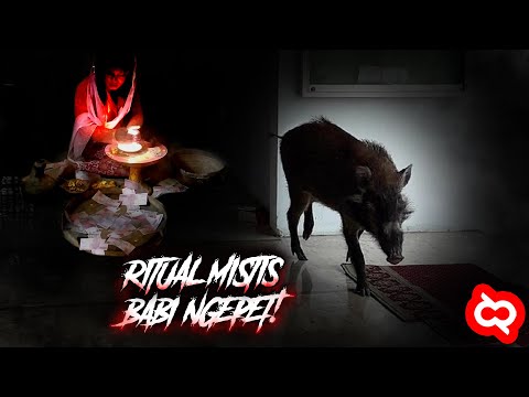 Dipercaya Bikin Cepat Kaya, Ternyata Begini Asal Usul Pesugihan Babi Ngepet di Indonesia