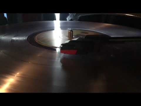 Wild Horses ~ The Rolling Stones LP