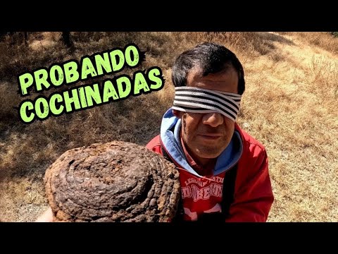 Grumpy Dwarf (JOKE) - THE KING OF JOKES