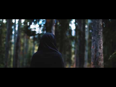 Ghastly & Matthew Koma & Seven Lions & Kill The Noise - WMF vs Cold Hearted (Shindoa Mashup)