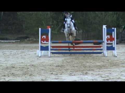 Alexandra Ledermann : Le Haras de la Vall�e PSP