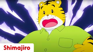 Daddy Worries to Much 😓 | Father's Day Special | Kids videos for kids | Shimajiro