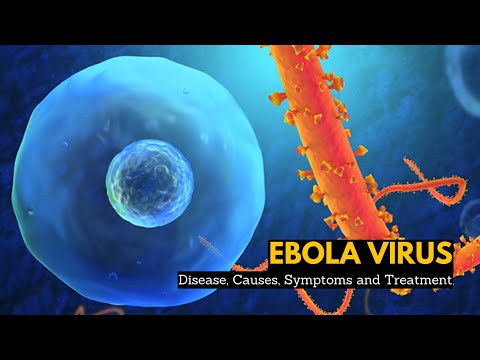 Ebola Virus Disease, Causes, Signs and Symptoms, Diagnosis and Treatment.