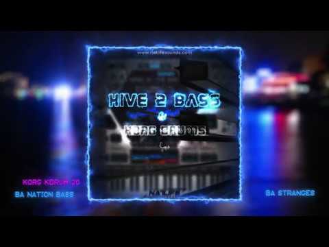 Free Download Hive 2 Bass and Korg Drums Vol.1 WAV HiVE 2