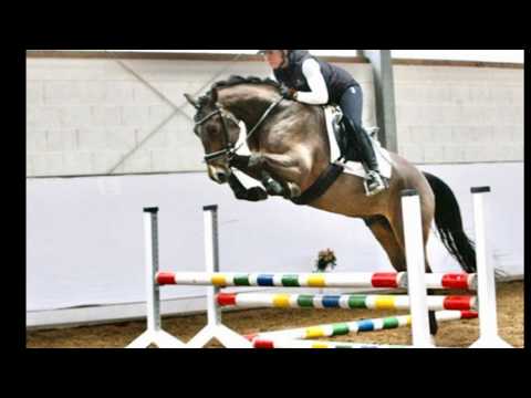 SPEEDY GONZALES Springen II