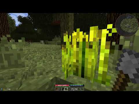 Terrafirmapunk Ep 6: Exploring (Modded Minecraft)