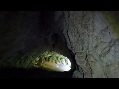 V25 La plimbare prin Cheile Vârghișului p2 (Peștera Merești)