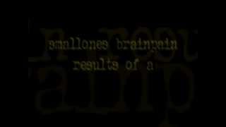 Hesslers - smallOnes Brainpain Lyrics