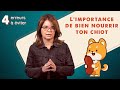 Téléchargez les Sous-titres pour 4 erreurs sur la nourriture du chiot