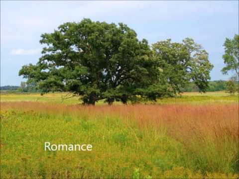 Claude-Benigne Balbastre:  Romance