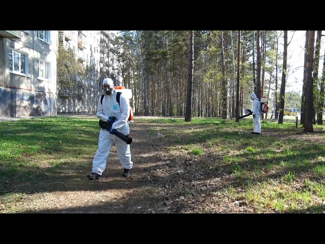 Обработка от клещей: эффективно и качественно