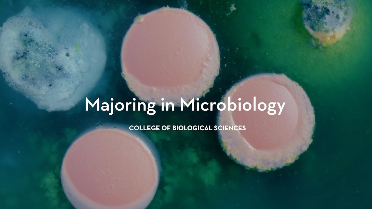 Microbiology major