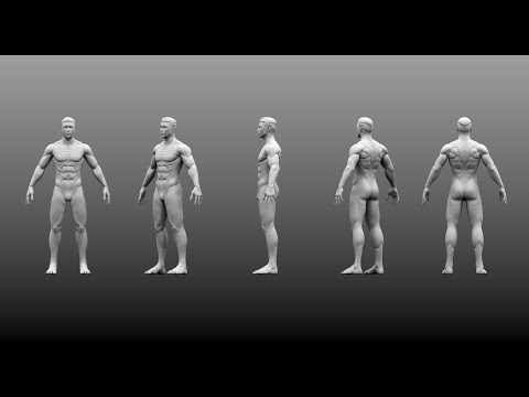 Male Base Mesh Preview