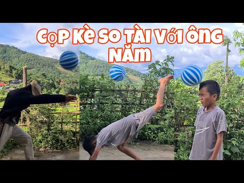 Cuộc So Tài Giữa Cọp Kè Và Ông Năm