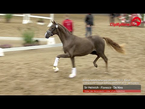 Hengst v.  Sir Heinrich -  Floresco - De Niro