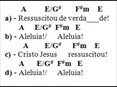 Ressuscitou de Verdade - Católica