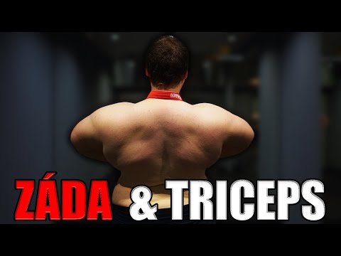 TLUSŤOCH V POSILOVNĚ - EP. 117 ZÁDA A TRICEPS