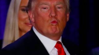 Pink Guy - Gays 4 Donald (Clean Bass Boost)