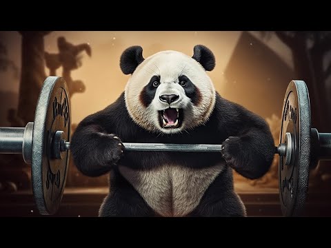 🐼 Panda Compilation | Pandas Hitting the Gym - Episode 1💥
