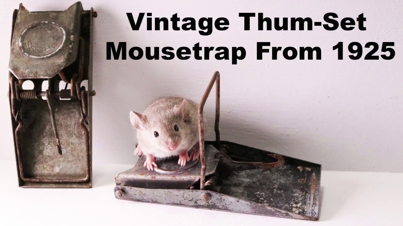 Vintage Thum-Set Mousetrap From 1925. Re-Upload. Mousetrap Monday