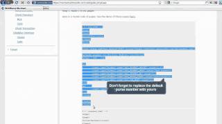 Megastock: How to set your website for the receipt of WM payments
