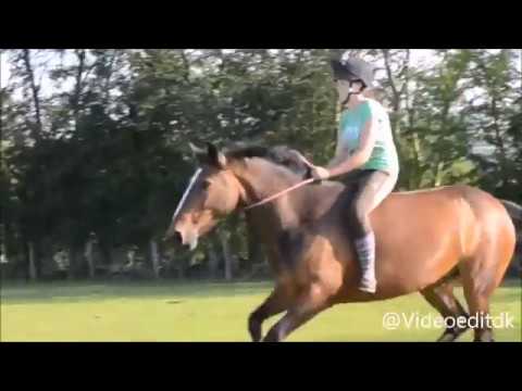 Cordeo jumping ~ colors