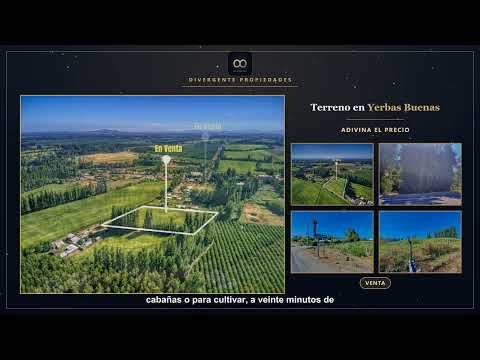 Terreno de 10 000 m² en venta en Yerbas Buenas   Divergente Propiedades
