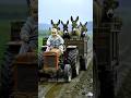 Dudi Dudi Dam Dam 5 Funny Trendingshorts Dudidudidam