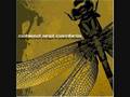 Coheed and Cambria 33