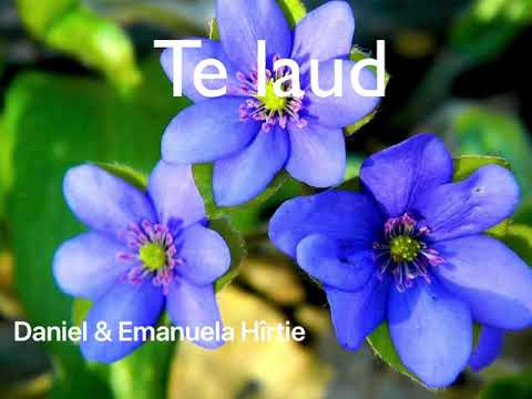 Daniel Hîrtie & Emanuela Gramada - Te laud