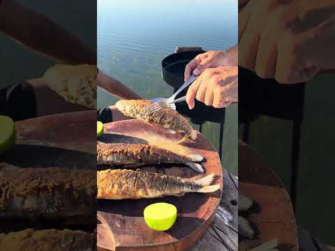 Peixe frito na represa capivara em Alvorada do Sul Paraná, Brasil. #shorts