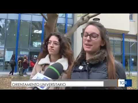 Servizio TGR 19:35 -GO2018