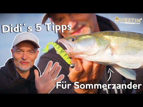Didi's 5 Top Tips for Zander Fishing in Summer | Westin Fishing (German)