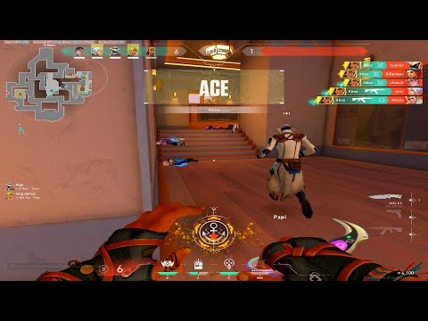 timeless good luck babe birds of a feather