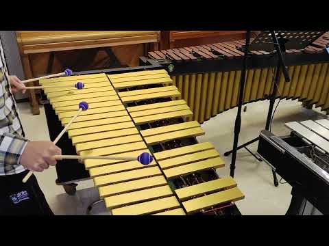 Amsterdam Avenue -- Ruud Wiener    Vibraphone ：Li Chao
