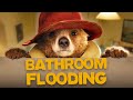Paddington | Our Bear Floods the Bathroom | The Blessed Browns
