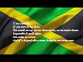 Reggae Music Again Busy Signal