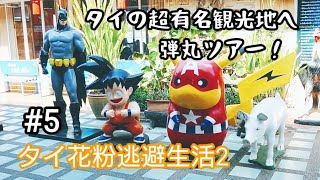 #5 タイの超有名観光地を日帰り弾丸ツアーしてきた　タイ花粉逃避生活2