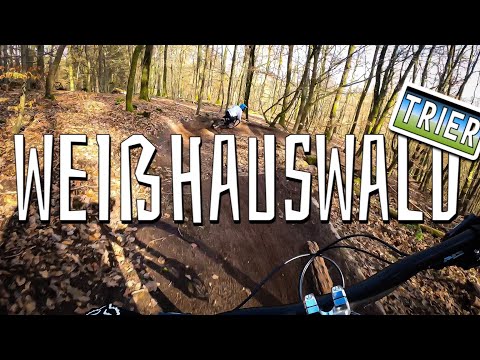 Weißhauswald Trier 2022- Offeason Trailcheck I Specialized Enduro/ Canyon Sender CFR -Max ist back