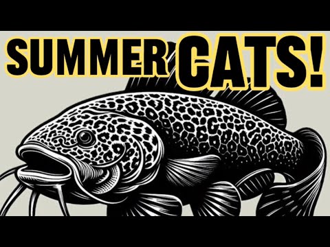 SUMMER Catfishing Tips: How To Catch MORE Catfish in Summer!