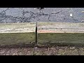 Railroad Ties Loaded with Ants in Martinsville, NJ