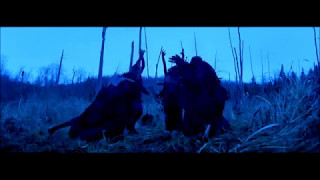 RHCP - Death of a Martian