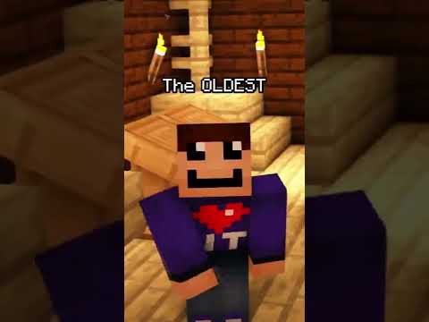 This Shulker glitch INSTANTLY bans you from any Server in Minecraft! #shorts